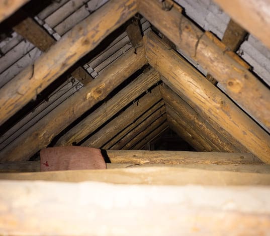 View inside a wooden attic with triangular beams and a rolled-up mat or blanket resting on one beam.