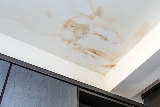 Water stains and mold growth on a white ceiling corner above dark wood cabinets indicate water damage.